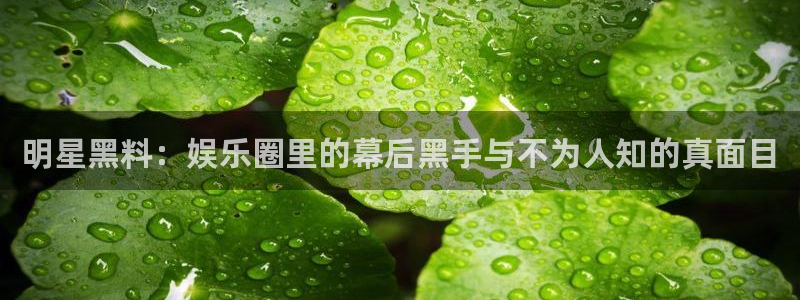 顶流男星被曝隐瞒婚史，前妻晒出聊天记录实锤