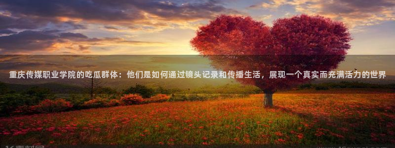 顶流男星被曝隐瞒婚史，前妻晒出聊天记录实锤