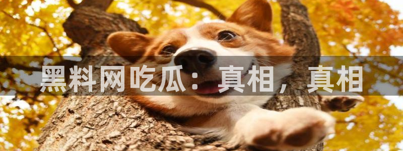 顶流男星被曝隐瞒婚史，前妻晒出聊天记录实锤