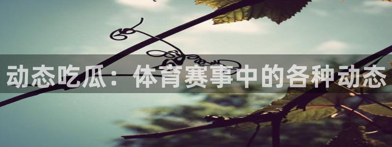 顶流男星被曝隐瞒婚史，前妻晒出聊天记录实锤